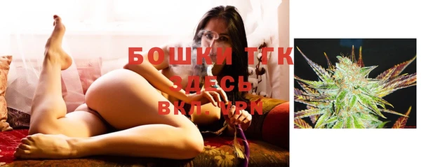 сатива Сосновка