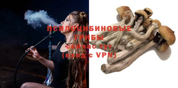 стафф Гусев