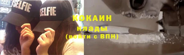 сатива Сосновка