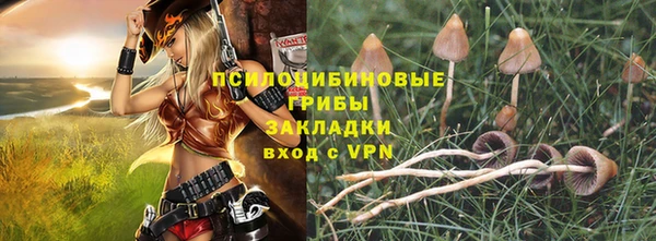 трава Сосновоборск