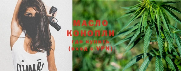 стафф Гусев