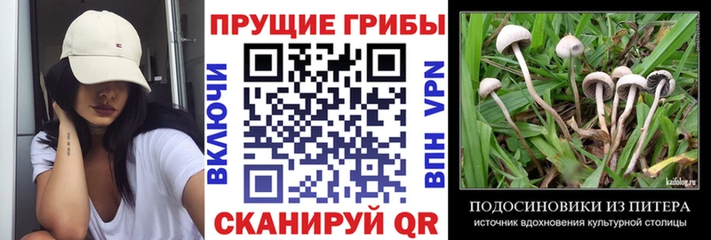 МЕГА как войти  Геленджик  Галлюциногенные грибы Magic Shrooms 