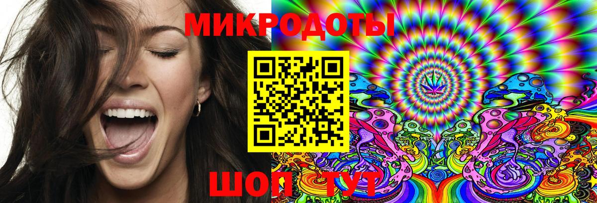 Псилоцибиновые грибы Psilocybe Геленджик