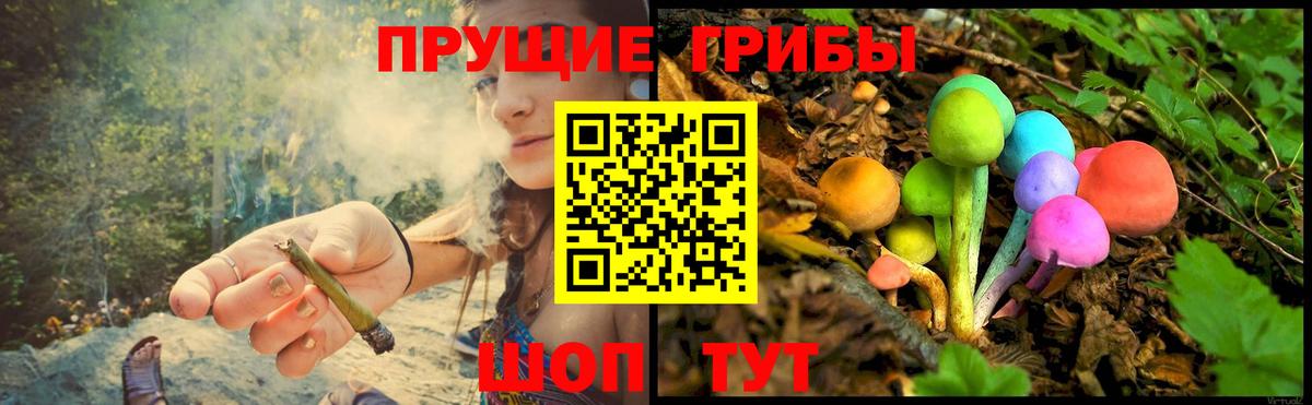 Псилоцибиновые грибы MAGIC MUSHROOMS  Вход с VPN  Псилоцибиновые грибы Psilocybe  Геленджик 